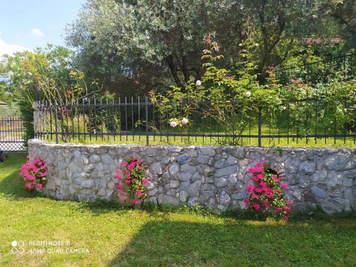 Mary Rose Apartments Oliveto Lario Εξωτερικό φωτογραφία