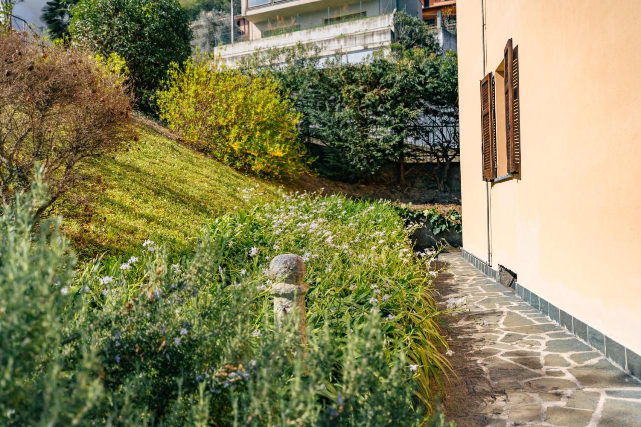 Mary Rose Apartments Oliveto Lario Εξωτερικό φωτογραφία